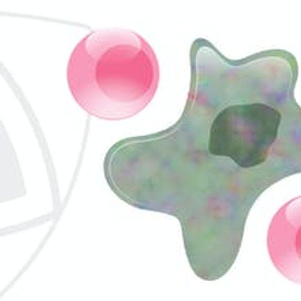 couse-card-image