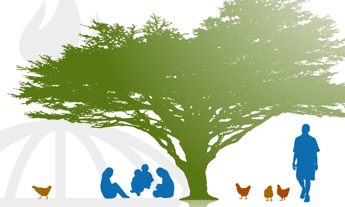 couse-card-image